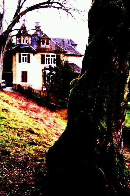 neighborhood