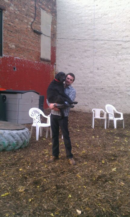 dog-run