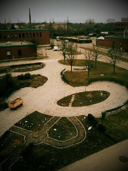 university