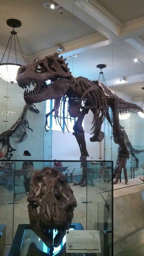 exhibit