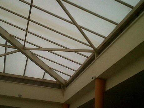 university