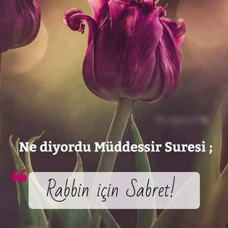 Ayaküstü Kahve
