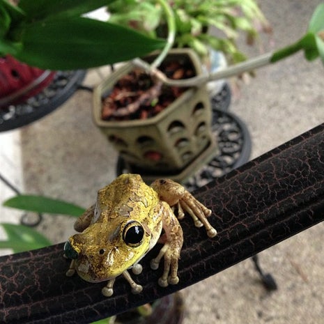 Numma Juan Coffee Spot