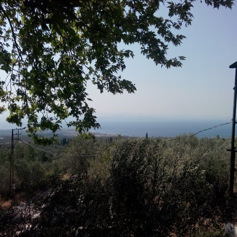 Derepinari