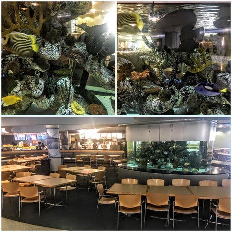 NSU: Food Court