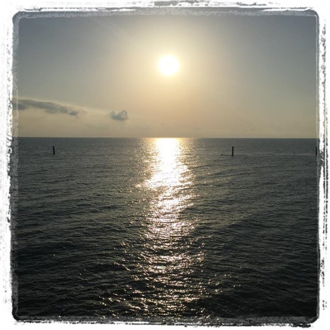 L'O di Giotto Caffè