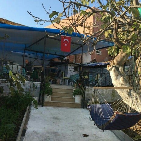 incir bahçesi