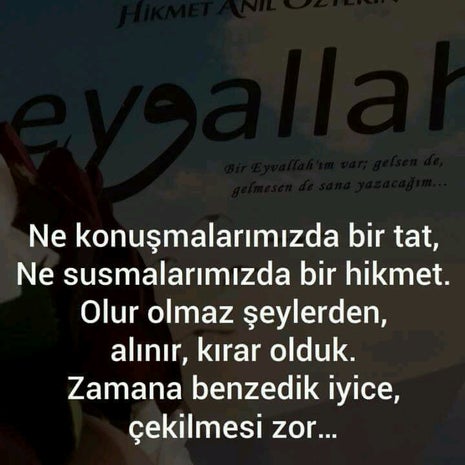 anne babamin dizinin dibi