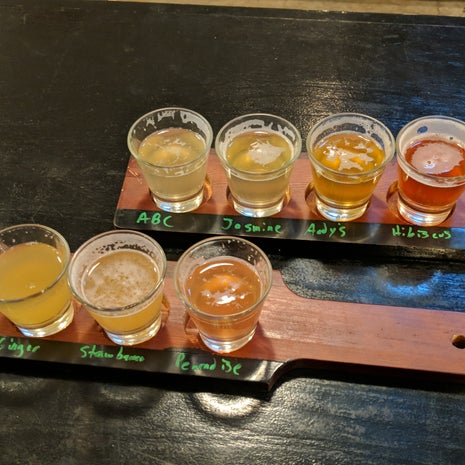 Zama Tea and Kombucha