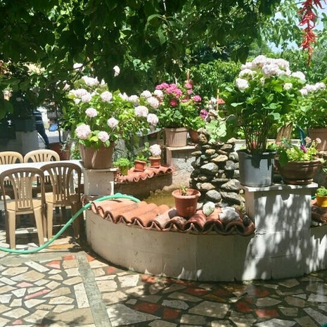 Paşa Sofrası