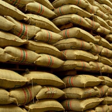 Lienzo Coffee Roastery