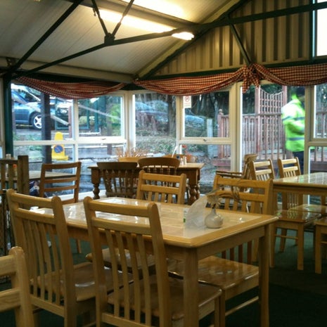 Willow Tree Café
