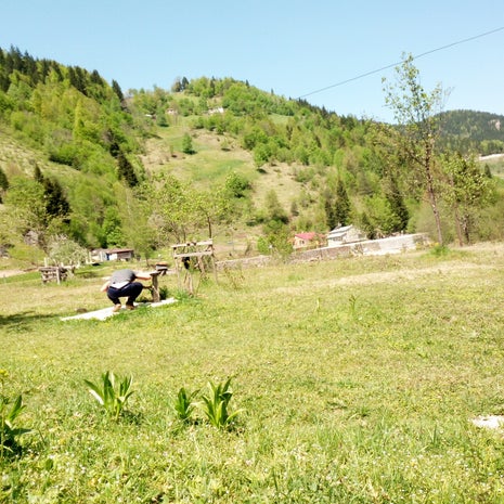 Öztürk Çay Evi