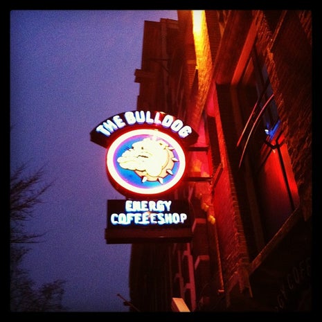 The Bulldog Energy