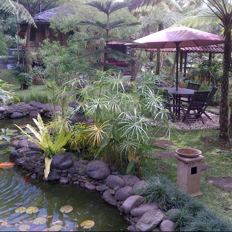 Lotus Coffee & Resto