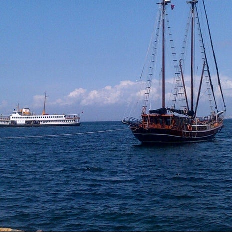 Erdal in yeri