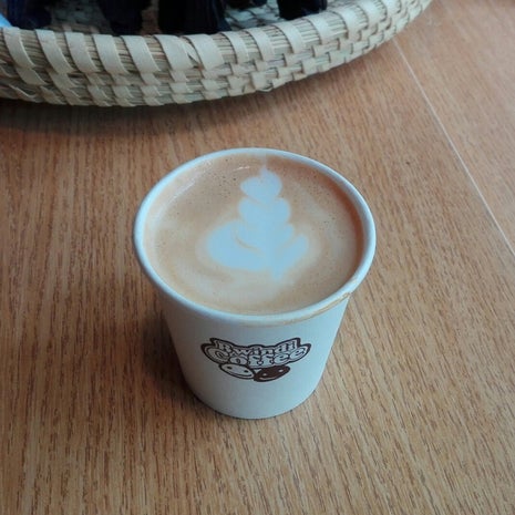 Bwindi Coffee - ZOO Brno