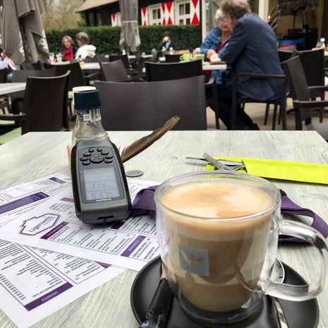 Theeschenkerij IJgenweis Clingendael