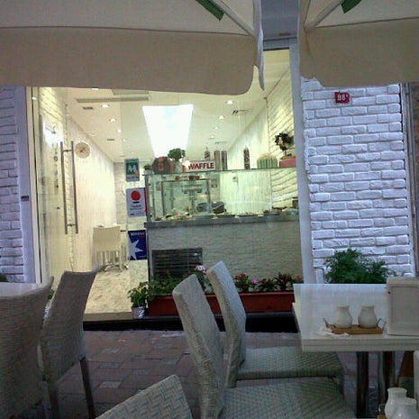 Haşhaş