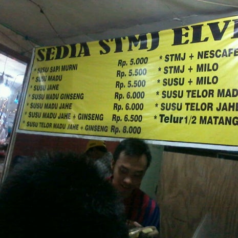 STMJ Elvina