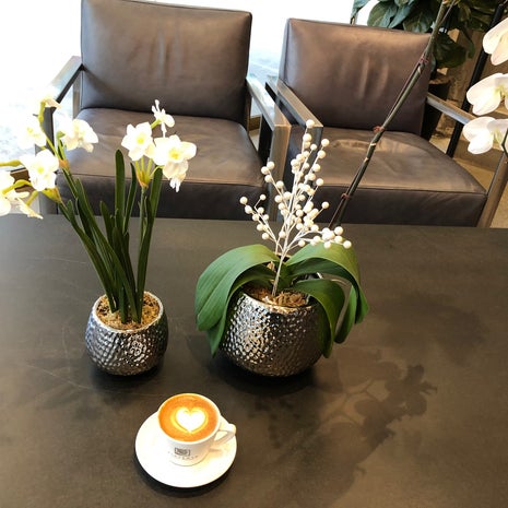 Victrola Coffee Roasters