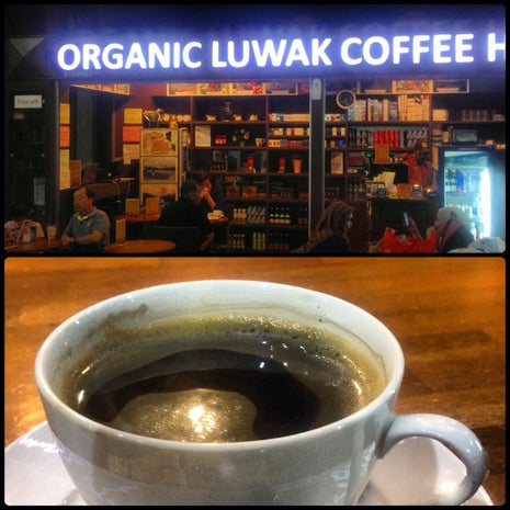 Organic Luwak Coffee House