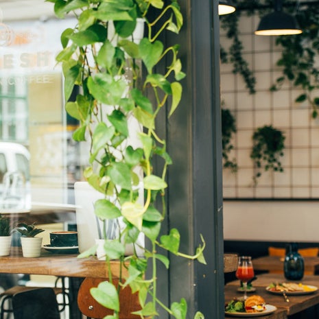 Double Shot Partisan Coffee