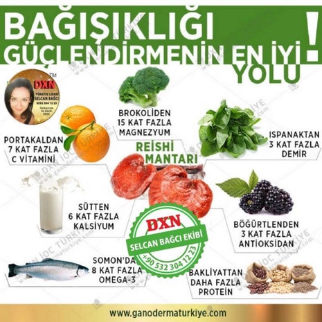 Dxn Ganoderma İstanbul Kırmızı Reishi Mantarı Merkez Ofisi (Selcan Bağcı 05323041223)