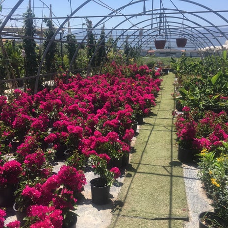 Özsoydan Botanik Garden Kahvaltı