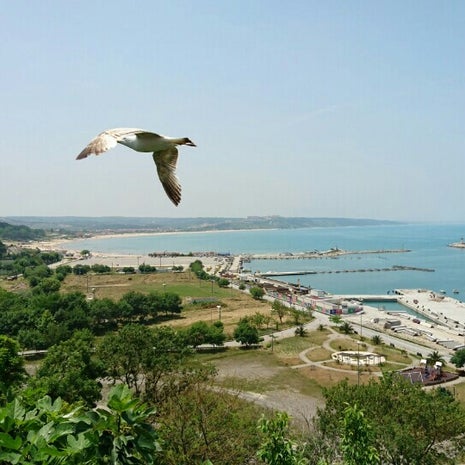 Dostlar Kıraathanesi