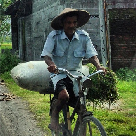 D'Sruput Sego Pecel Kediri