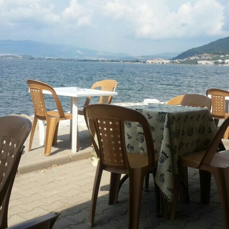 Sarı Kahve