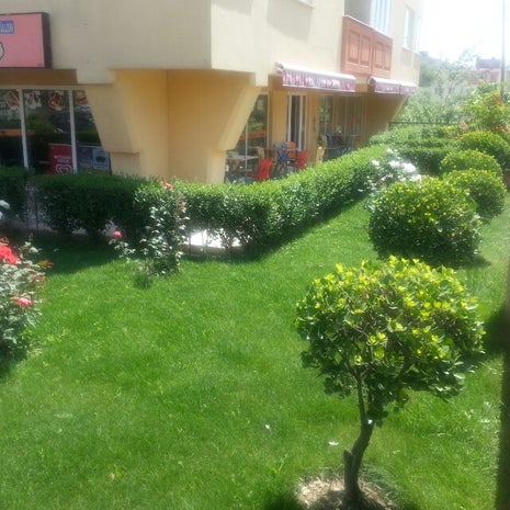 Elnas Pastanesi