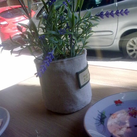 Cafeteria el pinar