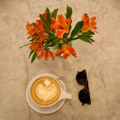 Intelligentsia Coffee