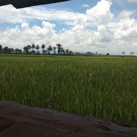 Kedai Kanopi