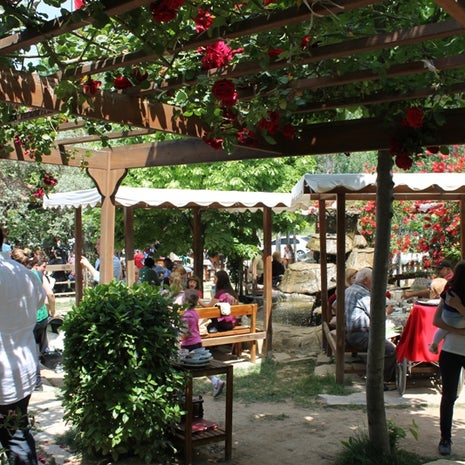 Andız Köy Sofrası
