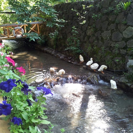 Bizimev restorant&pansiyon