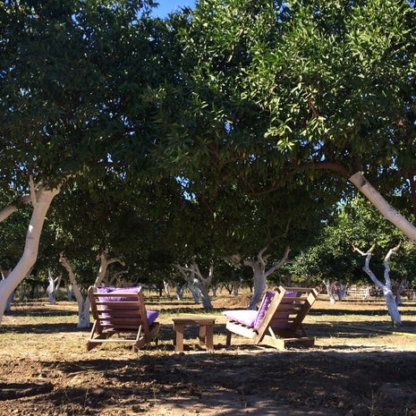 Ecofarm Bodrum