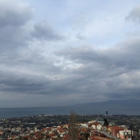 NarLı