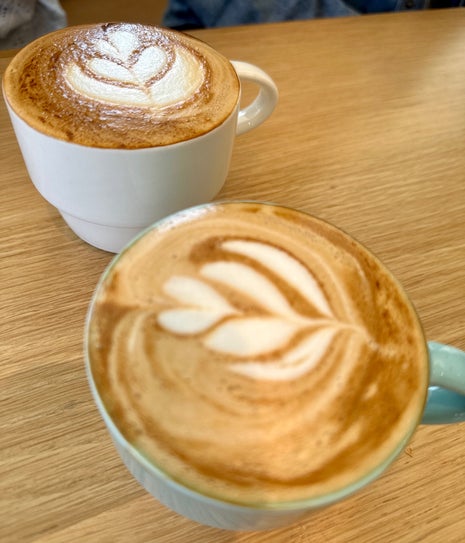 Succulent Coffee Roasters