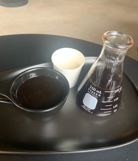 The Boy & The Bear (Green Store)