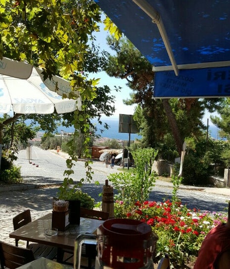 Can Usta'nın Yeri