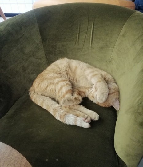 Greenwich Coffee Eyüp Park Avm