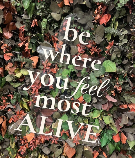 Freija Divine Flavors