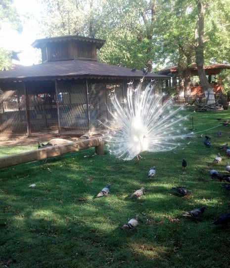 Röne Park