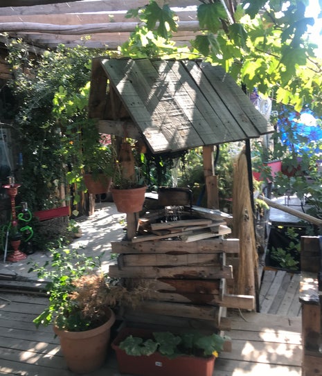 Zeyno'nun Yeri Mangal ve Kahvalti(alkolsüz&aile)