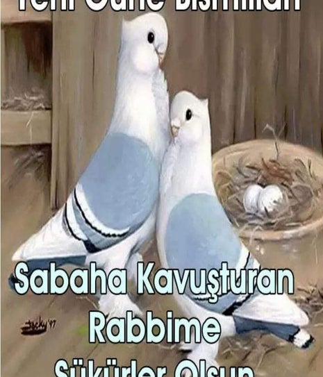 Starbaks Kahvesi Emmi's Place