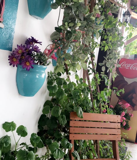 Shop Cafe