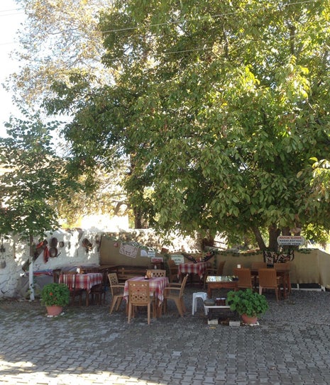 Hanımeli